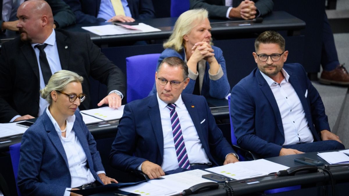 Die AfD fürchtet sich angeblich vor einem Wahlsieg und einer absoluten Mehrheit. (Foto)