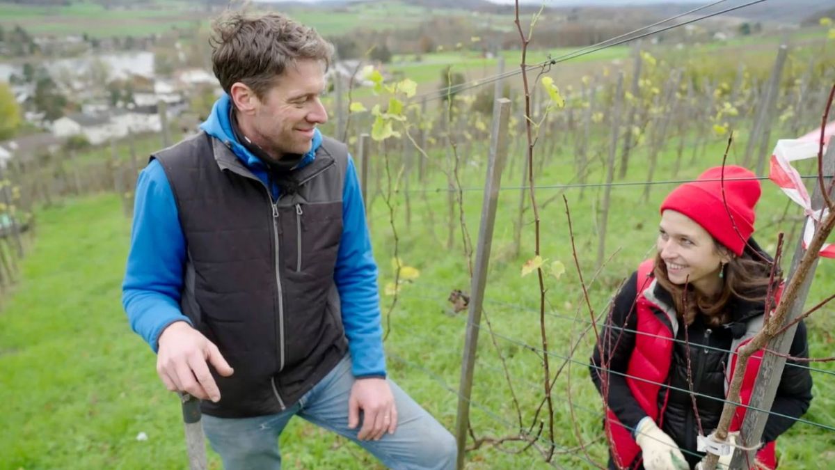 Wein am Rhein (1) bei 3sat (Foto)