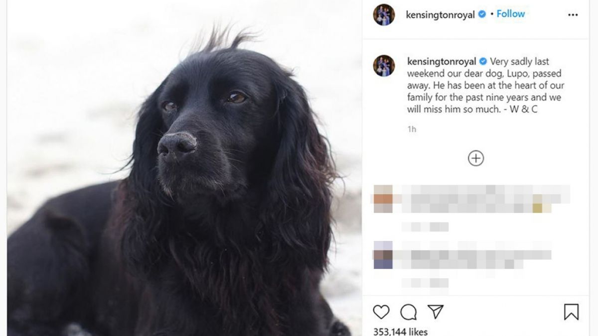 Das Ableben ihres "lieben Hundes" Lupo machten Prinz William und Prinzessin Kate im November 2020 bei Instagram publik. (Foto)