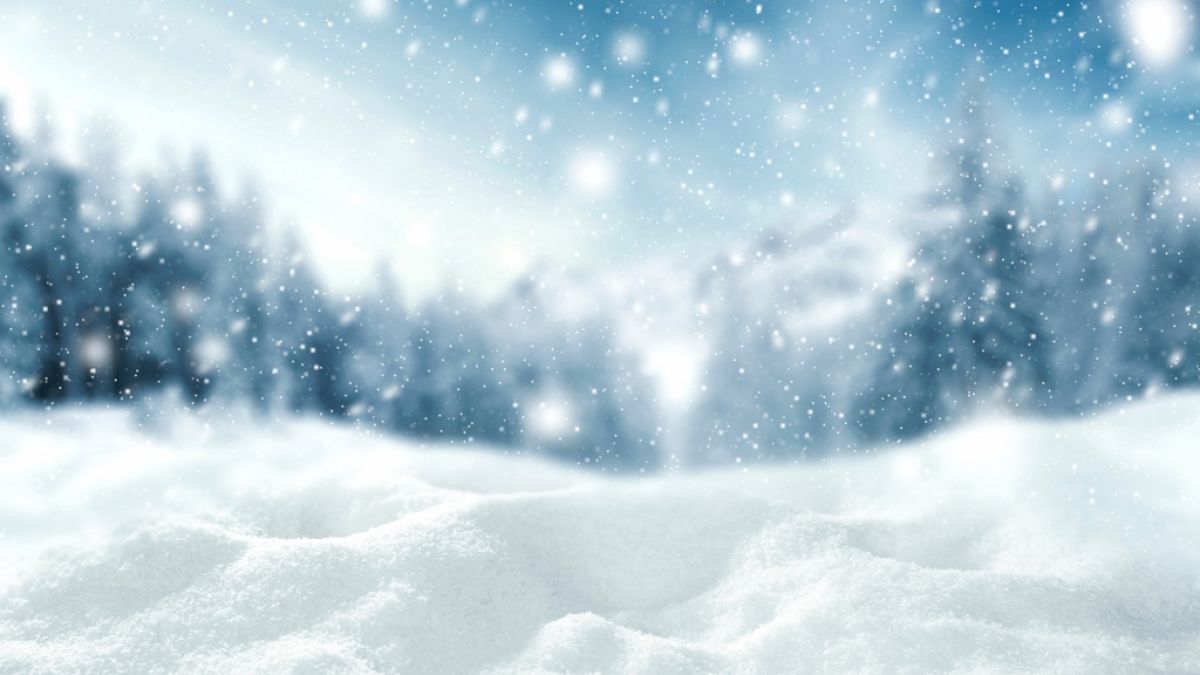 Steht uns ein bitterkalter Winter bevor? (Foto)