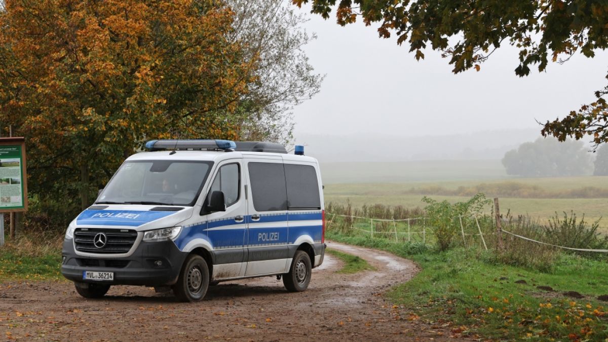 Bei der Suche nach dem vermissten achtjährigen Fabian aus Güstrow haben Einsatzkräfte die Kinderleiche in einem Wald bei Klein Upahl gefunden. Laut Polizei handelt es sich mit hoher Wahrscheinlichkeit um den Jungen, der seit Freitag vermisst wurde. (Foto)
