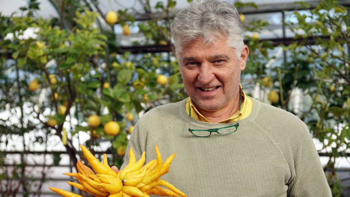 Österreich im Wandel bei Arte (Foto)