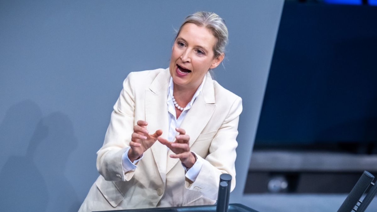 Alice Weidel sorgt im Bundestag für einen Eklat. (Foto)