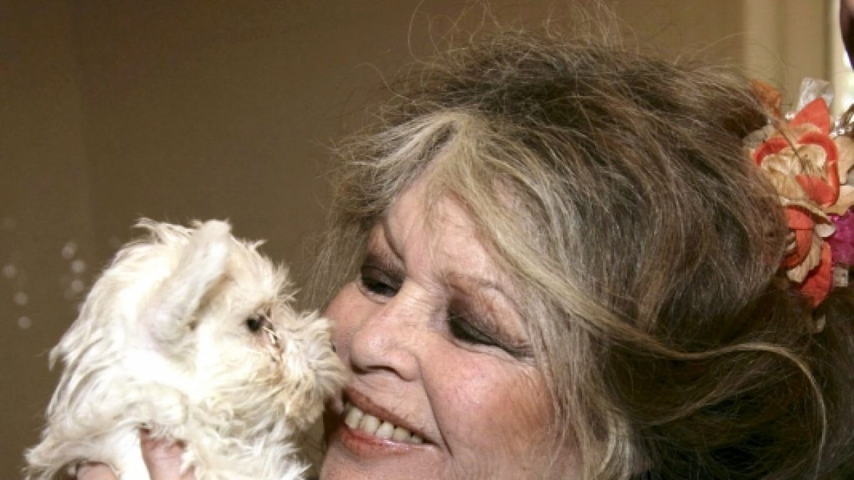Brigitte Bardot: Filmikone liegt im Krankenhaus. (Foto)