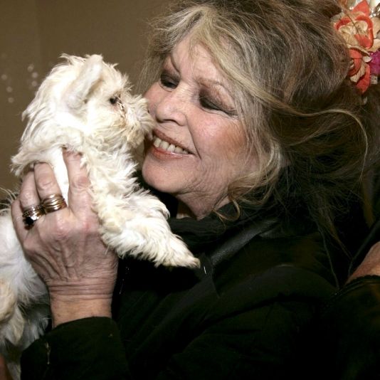 Filmlegende seit drei Wochen im Krankenhaus