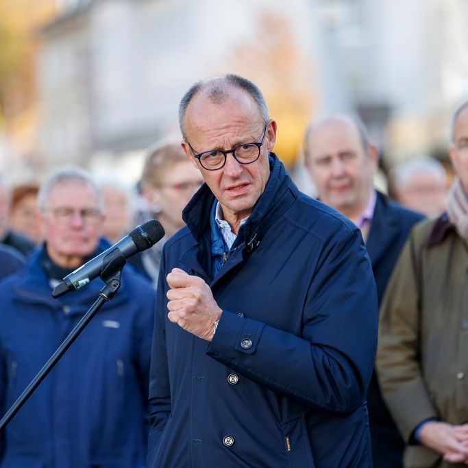 Anti-AfD-Strategie der CDU - das plant der Bundeskanzler