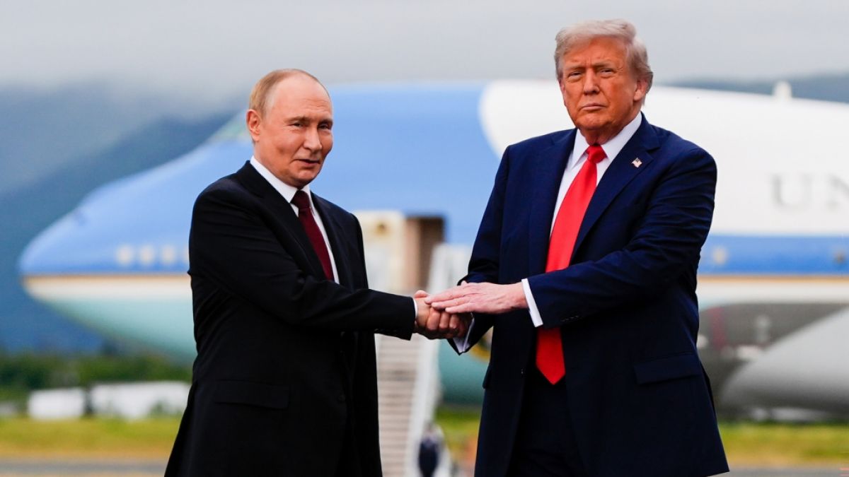 Planen Wladimir Putin und Donald Trump die Absetzung von Wolodymyr Selenskyj? (Foto)