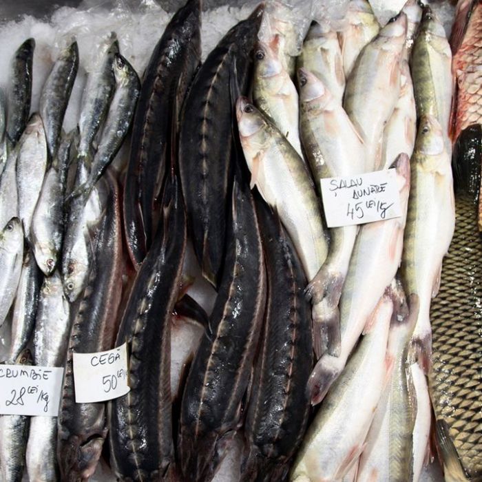 Wiederholung und Mediathek zur Sendung