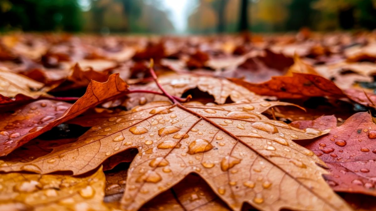 Das Wetter in dieser Woche wird &auml;u&szlig;erst wechselhaft: Sturm, Regen, Schnee und 20 Grad. (Foto)