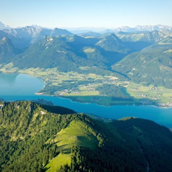 TV-Wiederholung und Online-Mediathek im Überblick