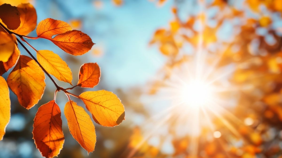 Es wird ungew&ouml;hnlich warm in der ersten November-Woche. (Foto)