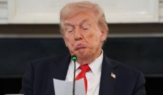 Donald Trump lässt sich immer wieder zu Wutausbrüchen und Drohungen in den sozialen Netzwerken hinreißen, doch seinen Kritikern zufolge hat der US-Präsident damit längst den letzten Respekt verspielt.