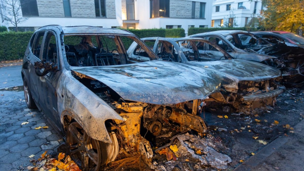 Ein Auto des AfD-Politikers Bernd Baumann ist nach Angaben seines B&uuml;ros in der vergangenen Nacht vor dessen Haus in Hamburg in Flammen aufgegangen. (Foto)
