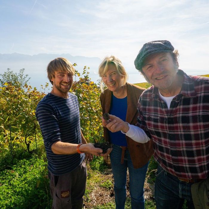 Wiederholung und Mediathek zur Sendung