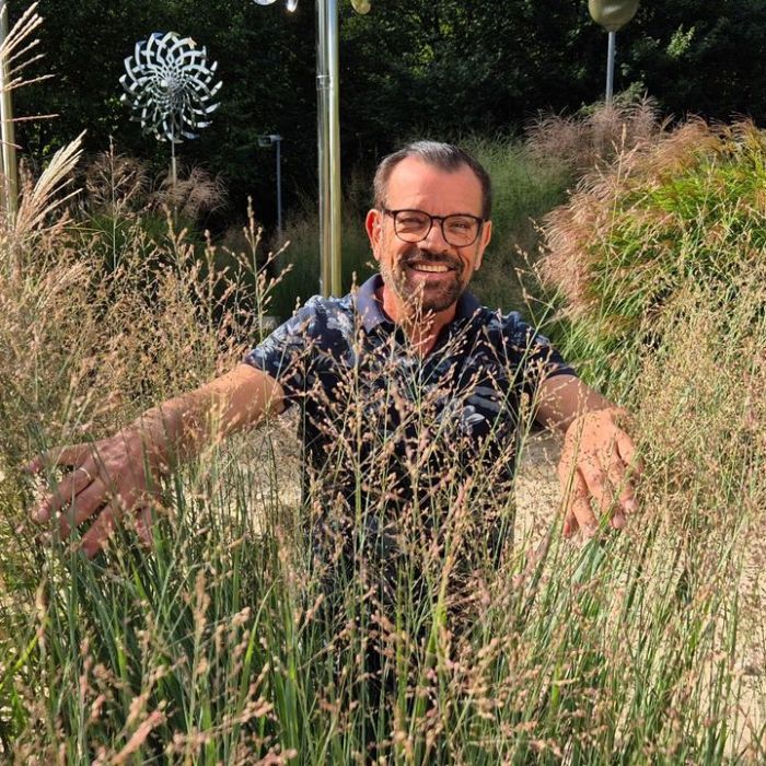 TV-Wiederholung und Online-Mediathek im Überblick