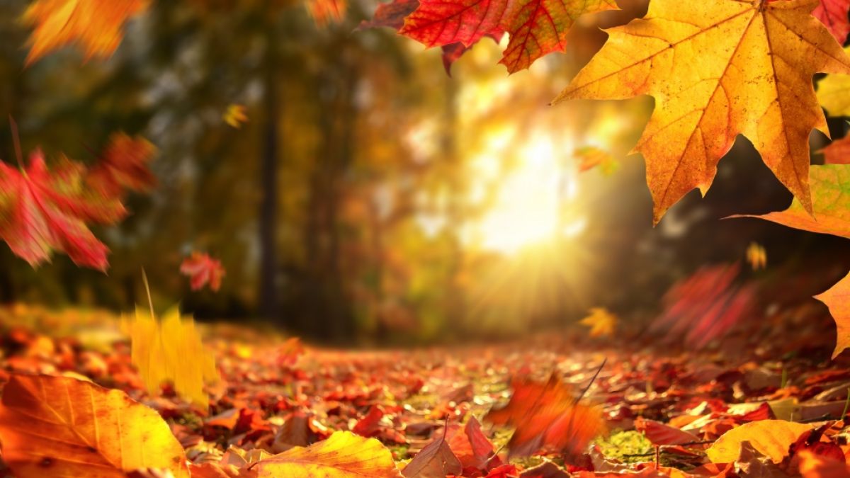 Eine Wärmeblase sorgt nächste Woche für fast sommerliche Temperaturen. (Foto)