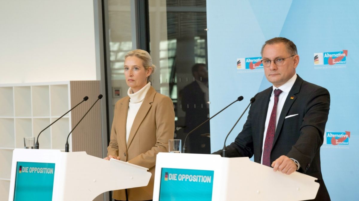 Die AfD-Vorsitzenden Alice Weidel und Tino Chrupalla sind in der Russland-Politik gespalten. (Foto)