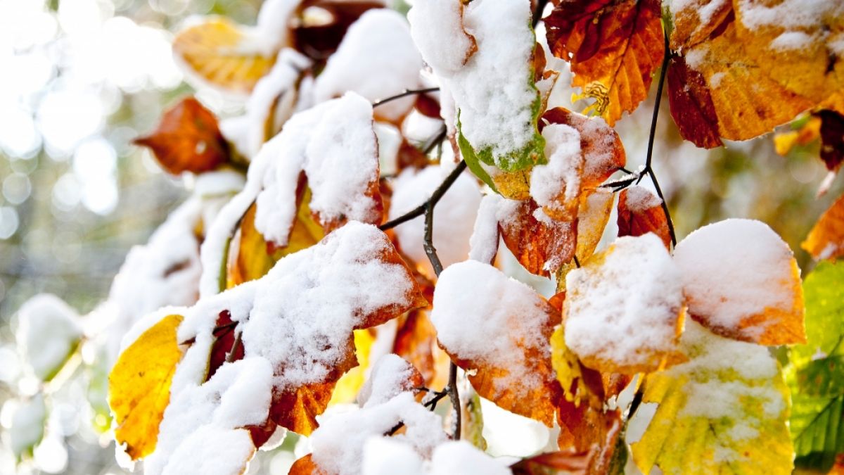 Der Winter kracht am Wochenende nach Deutschland. (Foto)