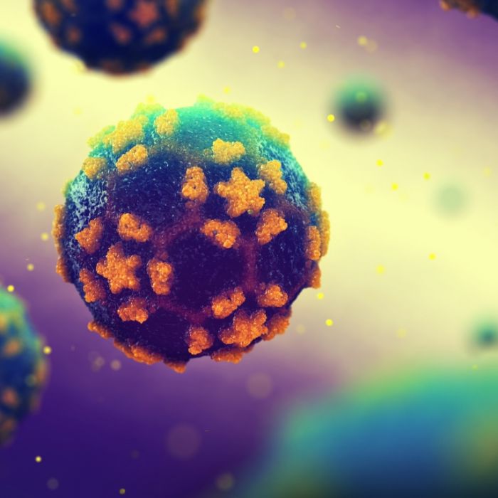 Besteht ein Infektionsrisiko nach dem Viren-Fund im Abwasser?