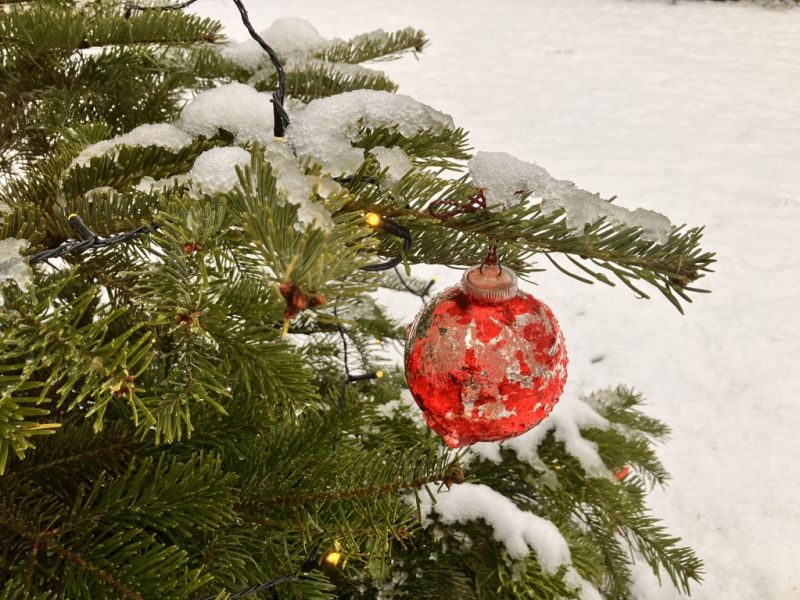 Hundertjähriger Kalender im Dezember: Keine Chance auf weiße Weihnachten? Das prophezeit der 100-jährige Kalender