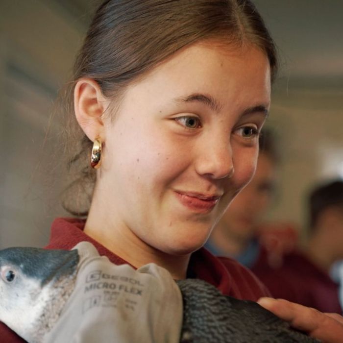 Elefant, Tiger & Kids: Zoo-Praktikum Backstage bei KiKA