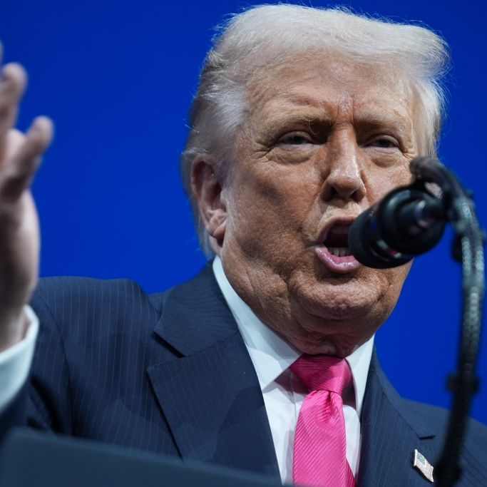 Donald Trump Jr. verteidigt seinen Vater gegen Epstein-Vorwürfe.