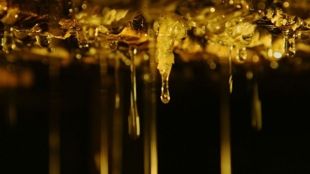 Die Bienenflüsterer bei Arte (Foto)