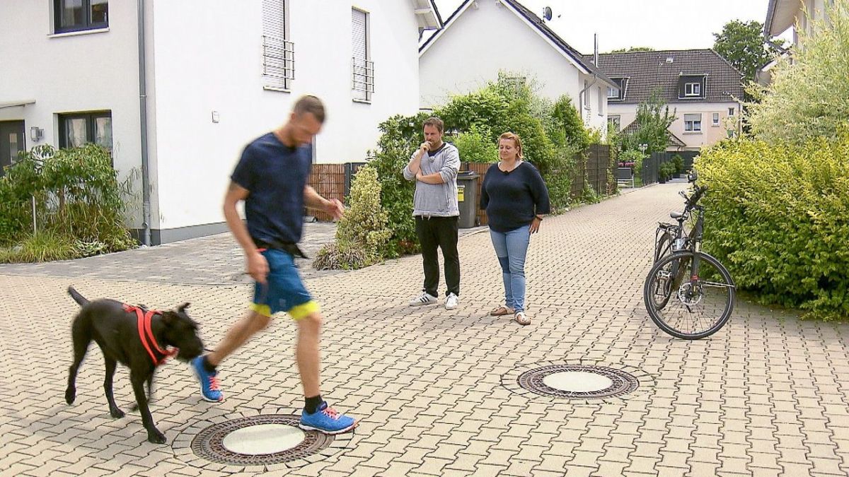 Der Hundeprofi bei VOX (Foto)