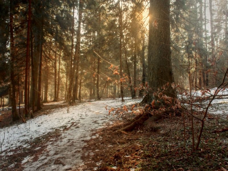 Wetter im Dezember 2025 aktuell: Nach der Wärme-Überraschung folgt die kalte Winterwende