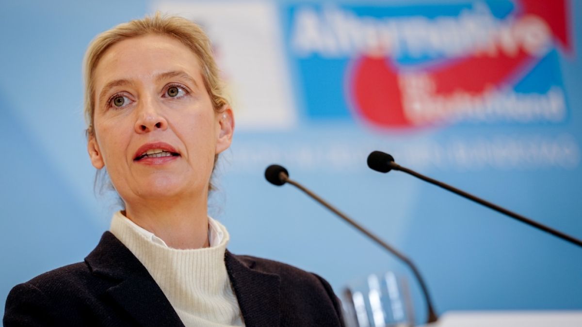 Die von Alice Weidel und Tino Chrupalla gef&uuml;hrte AfD legt aktuellen Umfragen zufolge immer st&auml;rker zu. (Foto)