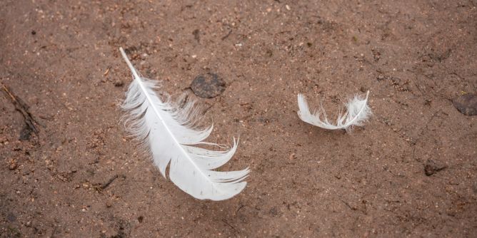 WHO-Experten schlagen Alarm