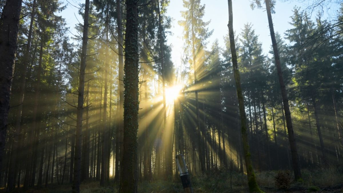 Laut der Wetter-Prognosen soll der Dezember sehr milde starten. Eisige Winter-Temperaturen lassen demnach noch auf sich warten. (Foto)