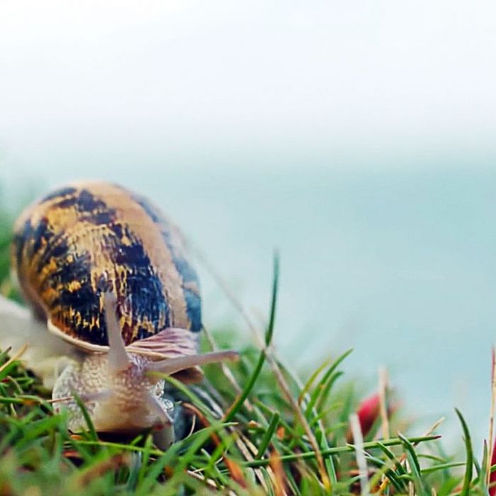 Wiederholung vom 4.12.2025 im TV und online