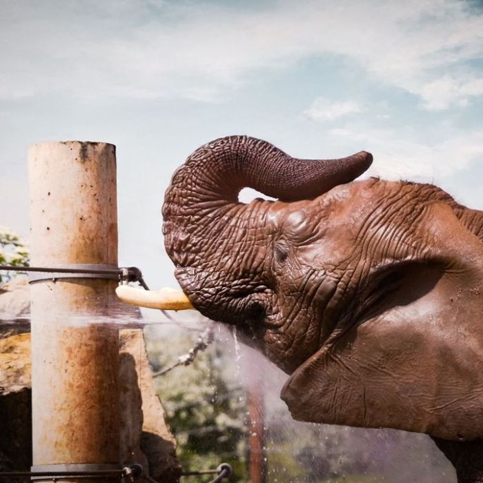 Wann und wo man die Wiederholung sehen kann