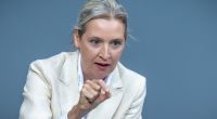 AfD-Chefin Alice Weidel wetterte in einem TV-Interview unflätig gegen 