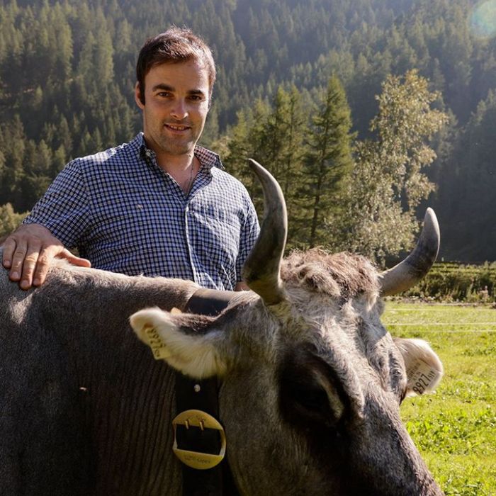 Wann und wo man die Wiederholung sehen kann