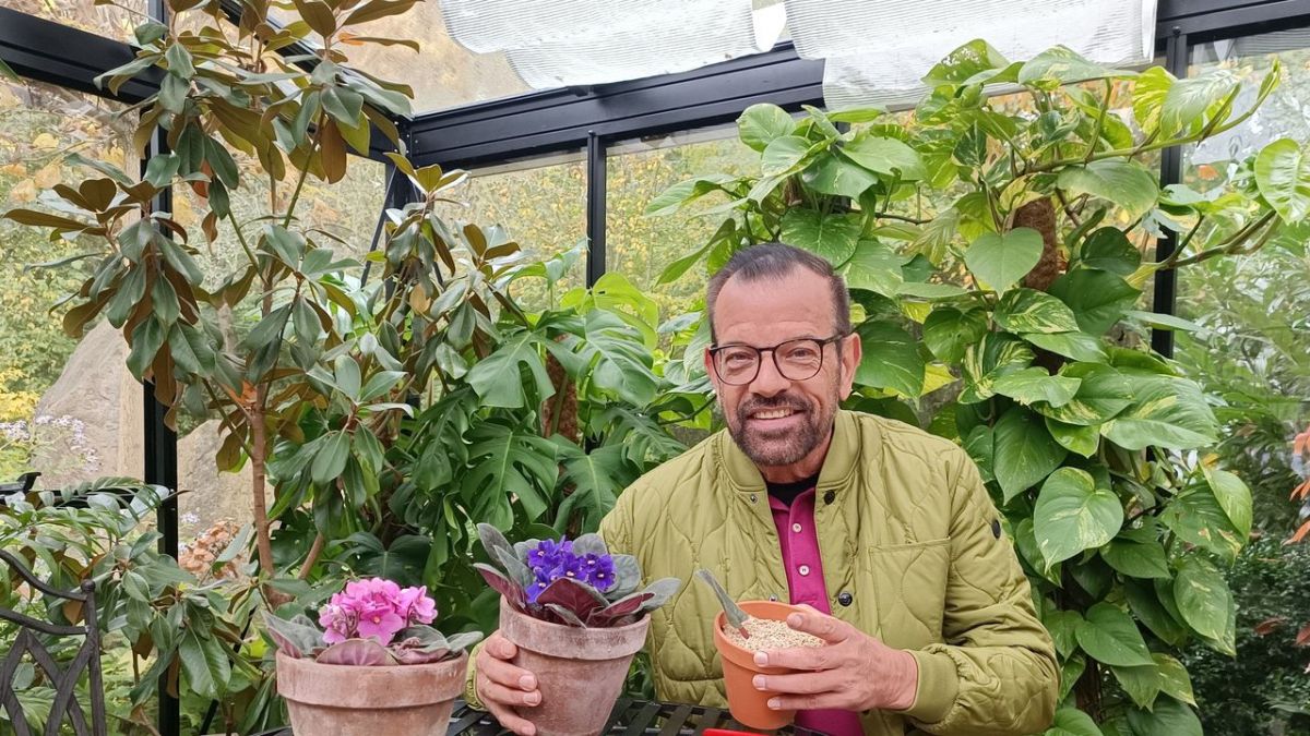 Natur im Garten bei 3sat (Foto)