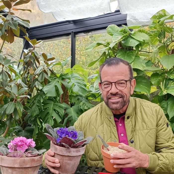 TV-Wiederholung und Online-Mediathek im Überblick