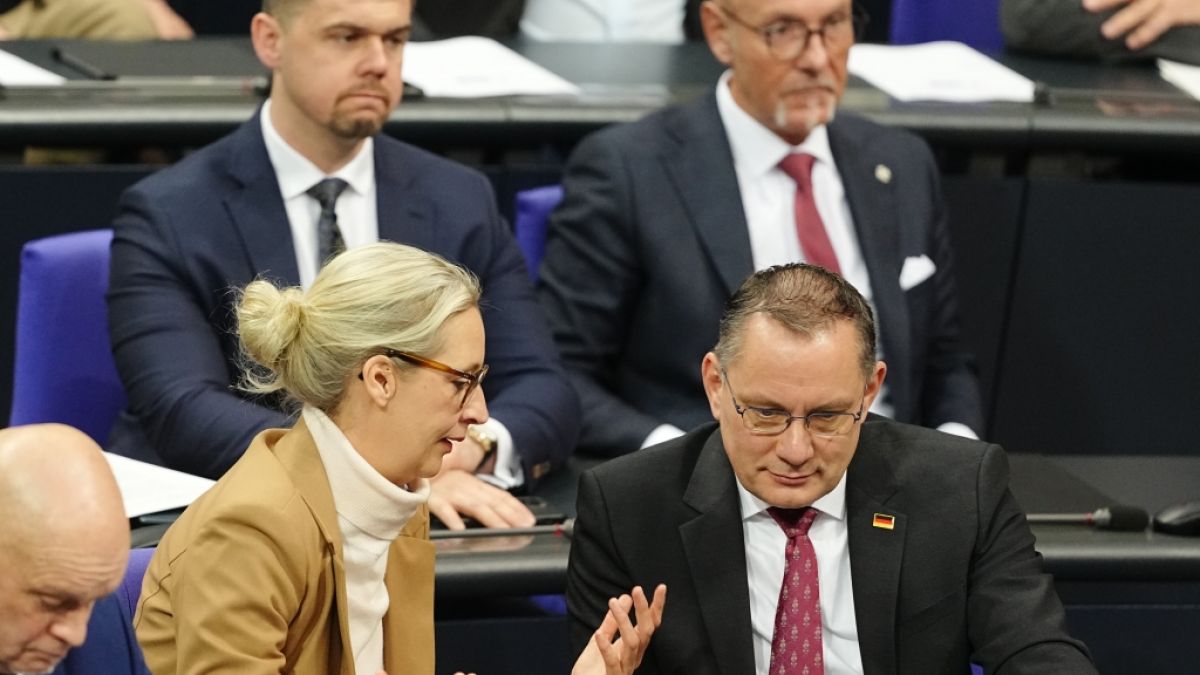 Die Vorsitzenden der AfD, Alice Weidel und Tino Chrupalla, verlieren in der aktuellen Sonntagsfrage einen Prozentpunkt. (Foto)