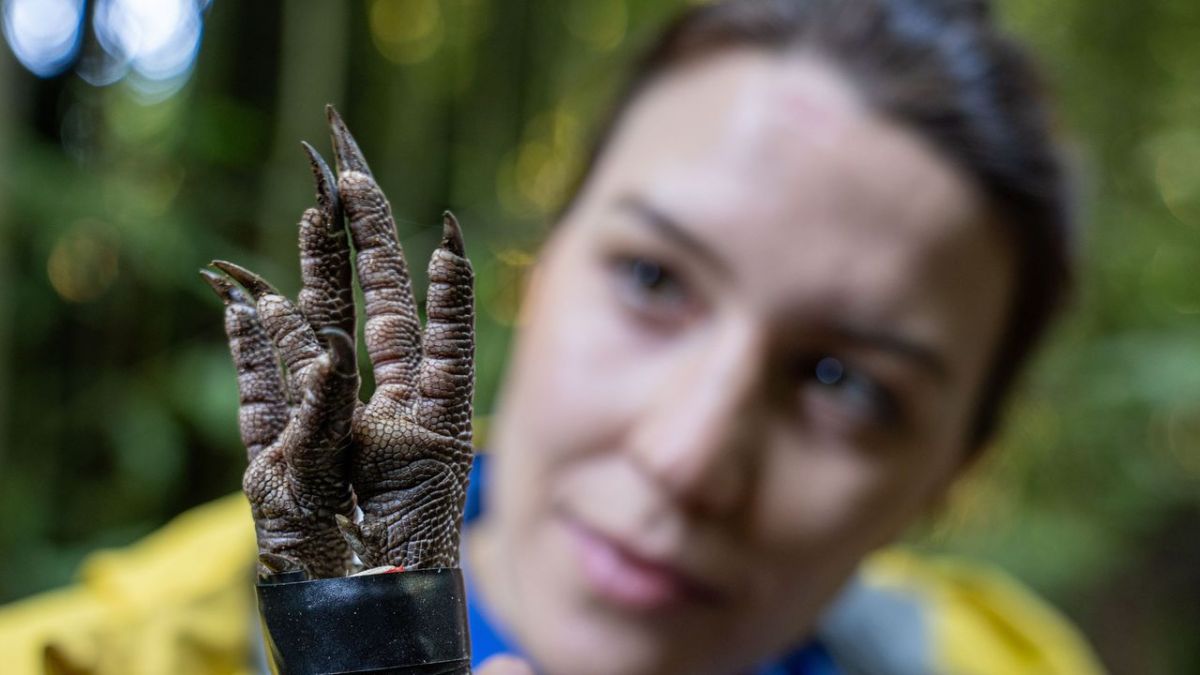 Terra X: Faszination Erde bei ZDF (Foto)