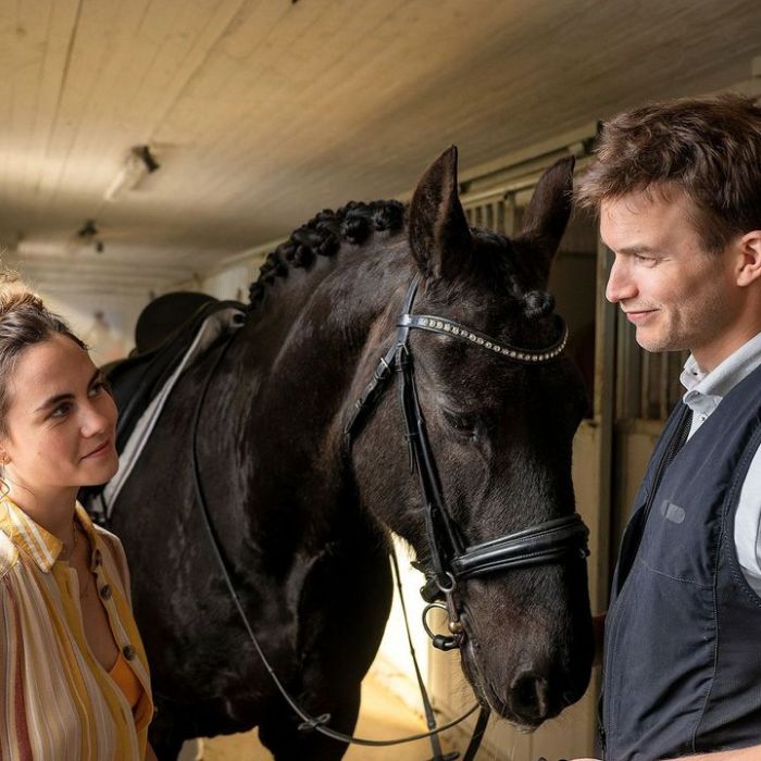 Wann und wo man die Wiederholung sehen kann