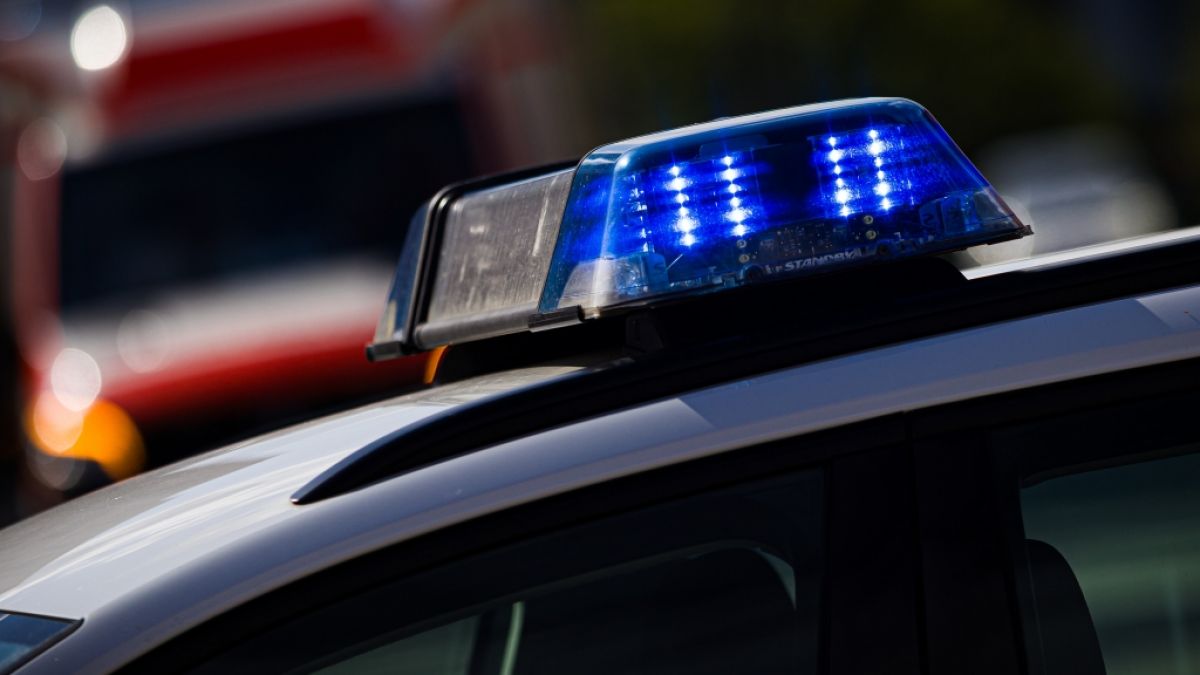 Syrer und Afghanen sollen laut einem aktuellen BKA-Bericht bei Zuwanderer-Straftaten besonders überrepräsentiert sein. (Foto)