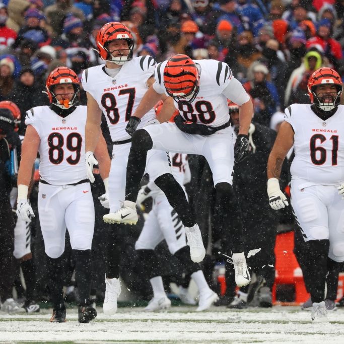Cincinnati Bengals gegen Baltimore Ravens kostenlos im Livestream