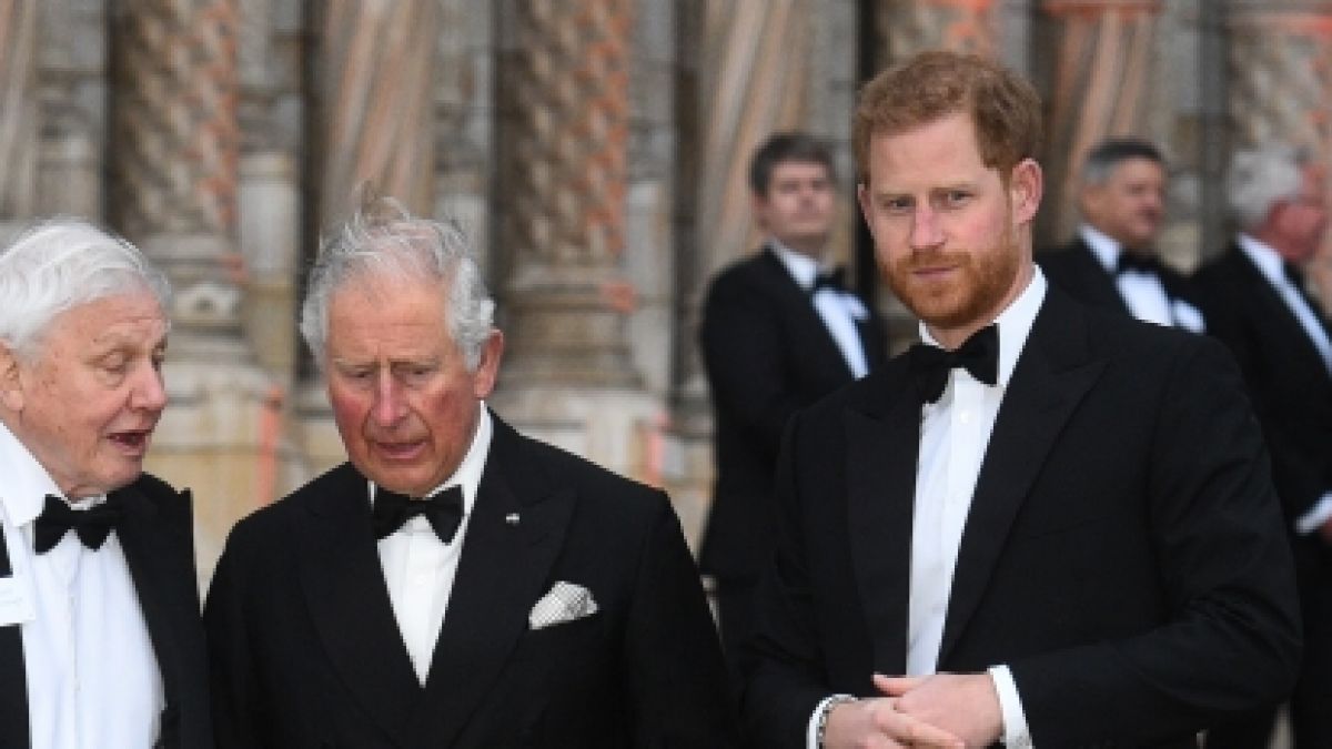 Nach Jahren der Funkstille könnte das nahende Weihnachtsfest eine Annäherung zwischen König Charles III. und seinem jüngeren Sohn Prinz Harry einläuten. (Foto)