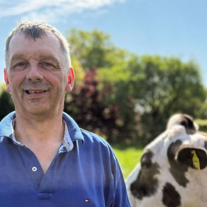 Wann und wo man die Wiederholung sehen kann