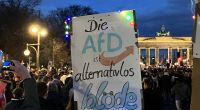 Gegen die menschen- und demokratieverachtende Politik der AfD gehen auch im Januar 2026 wieder bundesweit Menschen bei Demonstrationen auf die Straße.