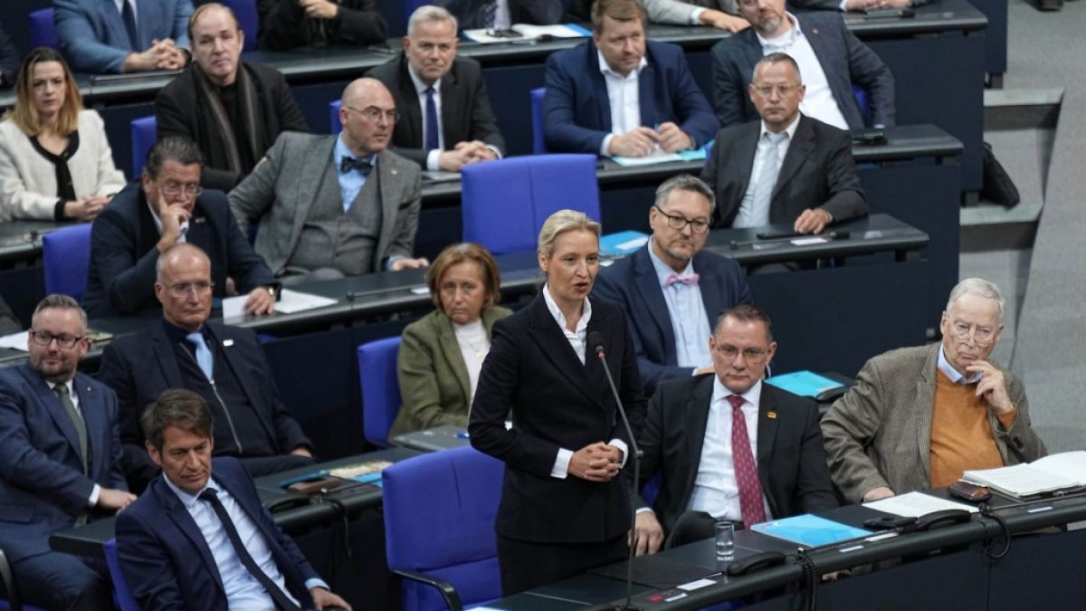 AfD-Abgeordnete suchen die Nähe zu den Republikanern. (Foto)