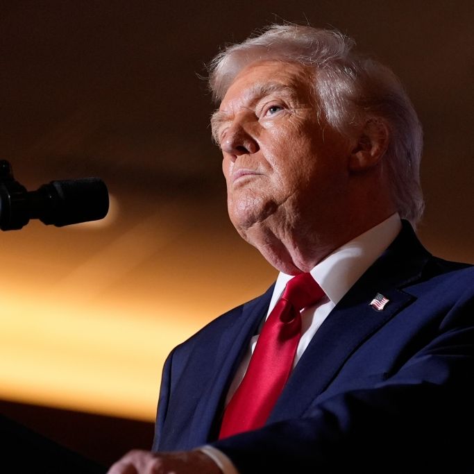 Trump-Code enthüllt - was er sagt und was er wirklich meint