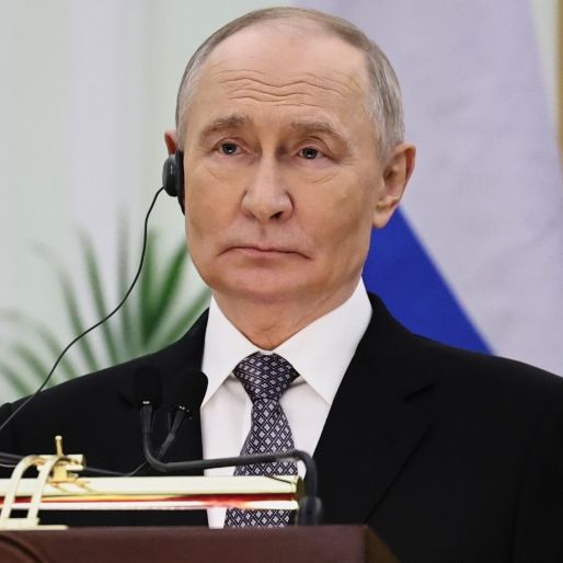 Wladimir Putin hat seinen Babyplan verraten.