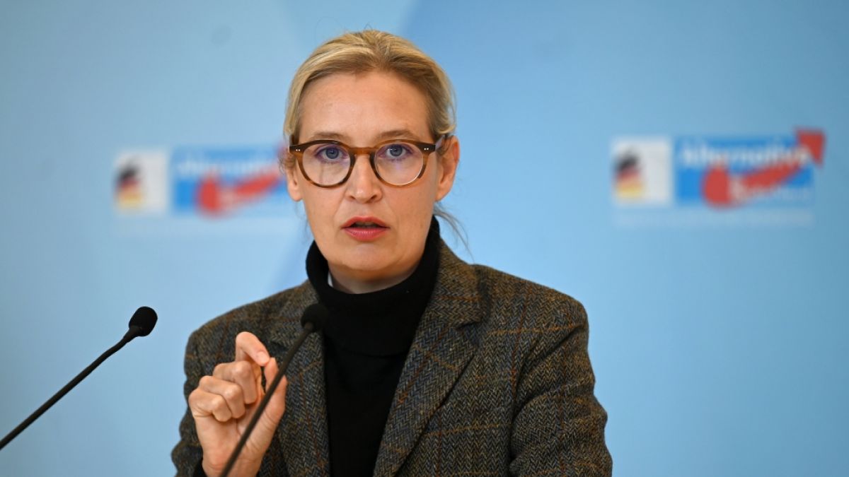 Medienexperten enthüllen einen miesen Trick von Alice Weidel und der AfD. (Foto)